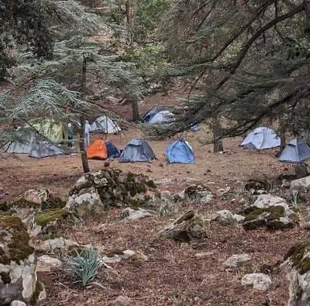 Dana Rose Camp Outdoor Camping 外观 照片
