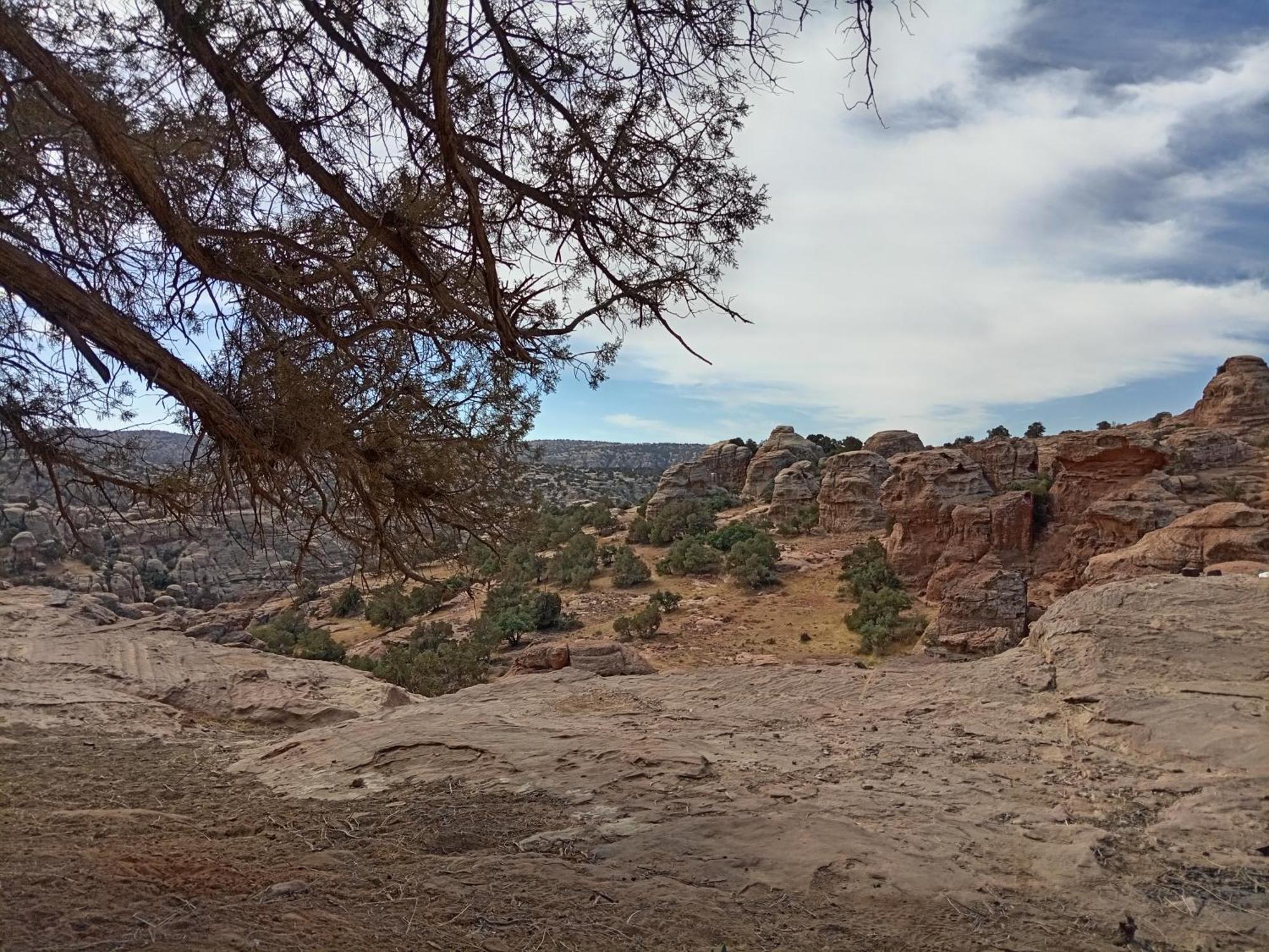Rose Camp Outdoor Campsite
